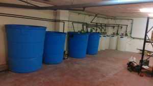 Depuradora Físico Química en Contínuo - GEDAR - Tratamiento de Aguas